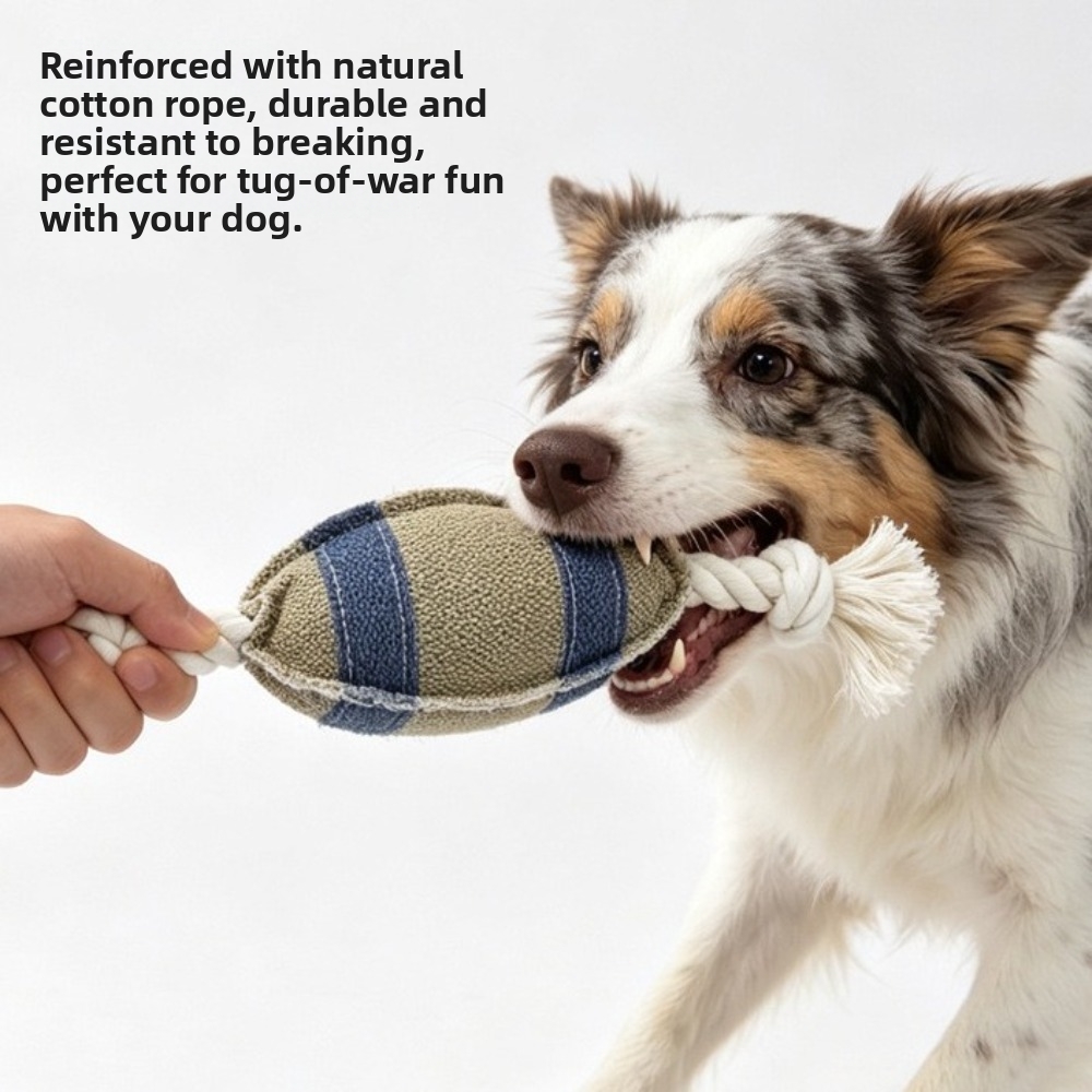 Bite Resistant Dog Chew Rugby  - огляд і ціна Rugby Training Ball