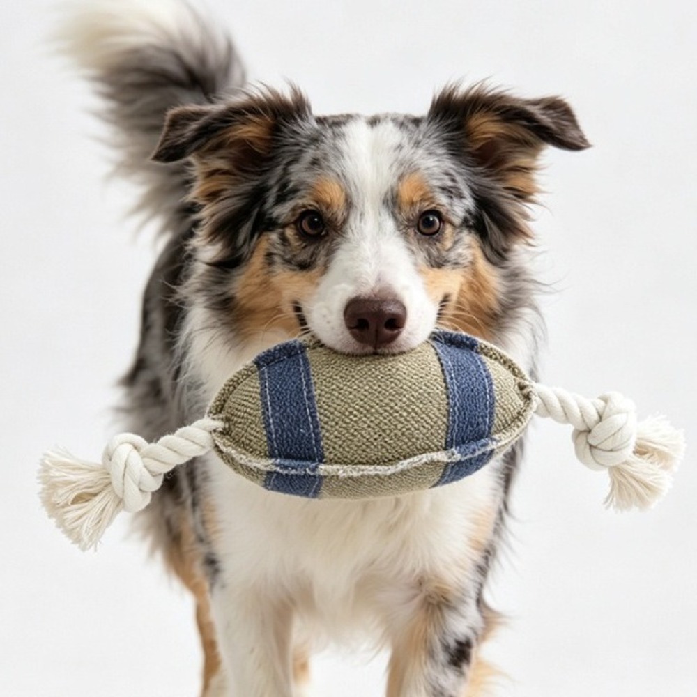 Bite Resistant Dog Chew Rugby  - огляд і ціна Rugby Training Ball